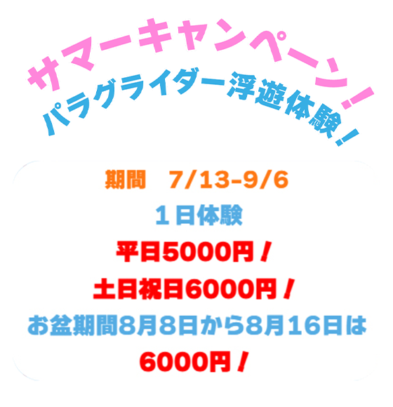 キャンペーン情報