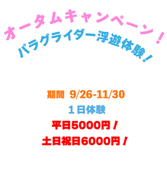 キャンペーン情報