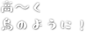 高く鳥のように