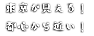 東京が見える