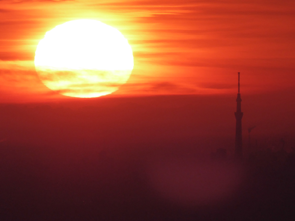スカイツリー風景